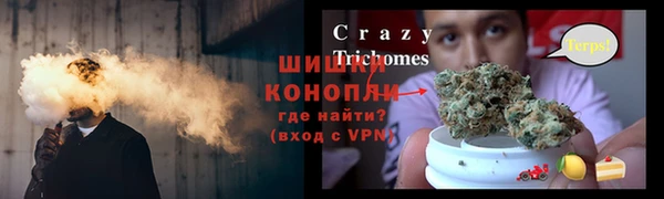 гидра Щучье