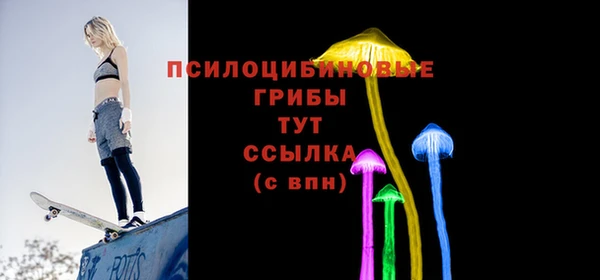 ALPHA-PVP Щигры