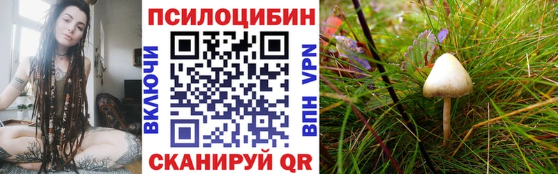 Купить  Полысаево  Псилоцибиновые грибы ЛСД 